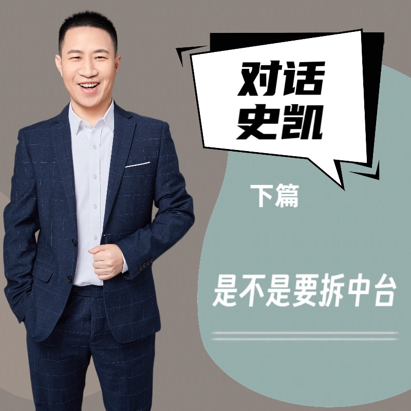 对话史凯（下）｜是不是要拆中台？